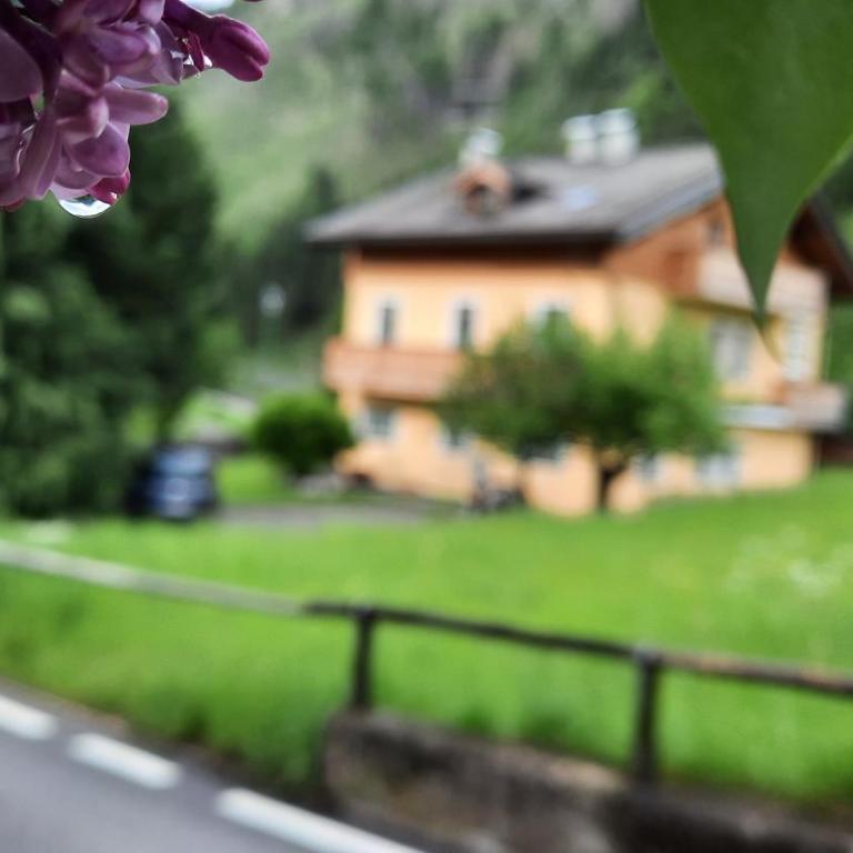 B&BeautyFol Dolomites B&B adults only - Camera Matrimoniale/Doppia con Letti Singoli con Bagno Privato - 12