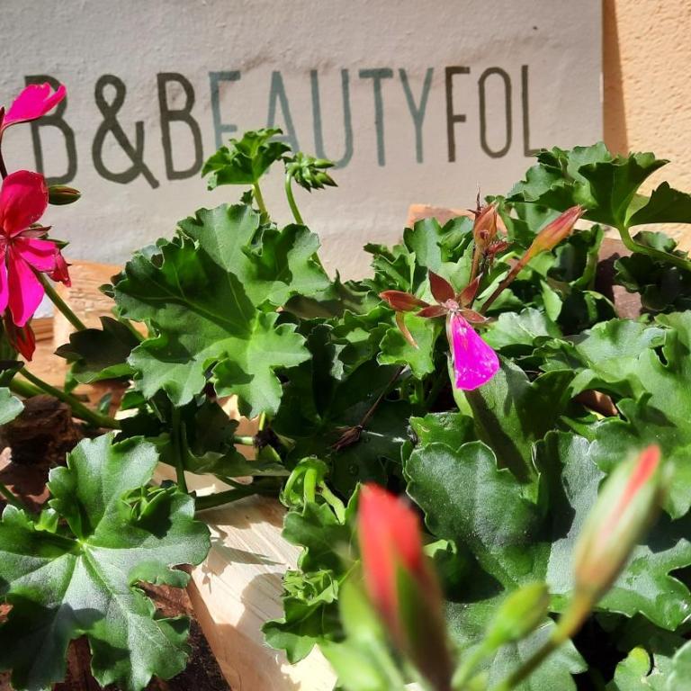 B&BeautyFol Dolomites B&B adults only - Camera Matrimoniale - 12