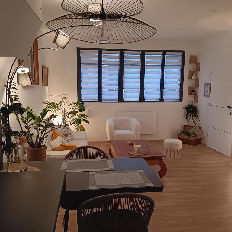 Petit cocon au coeur de Vichy - Appartement 1 Chambre - 1