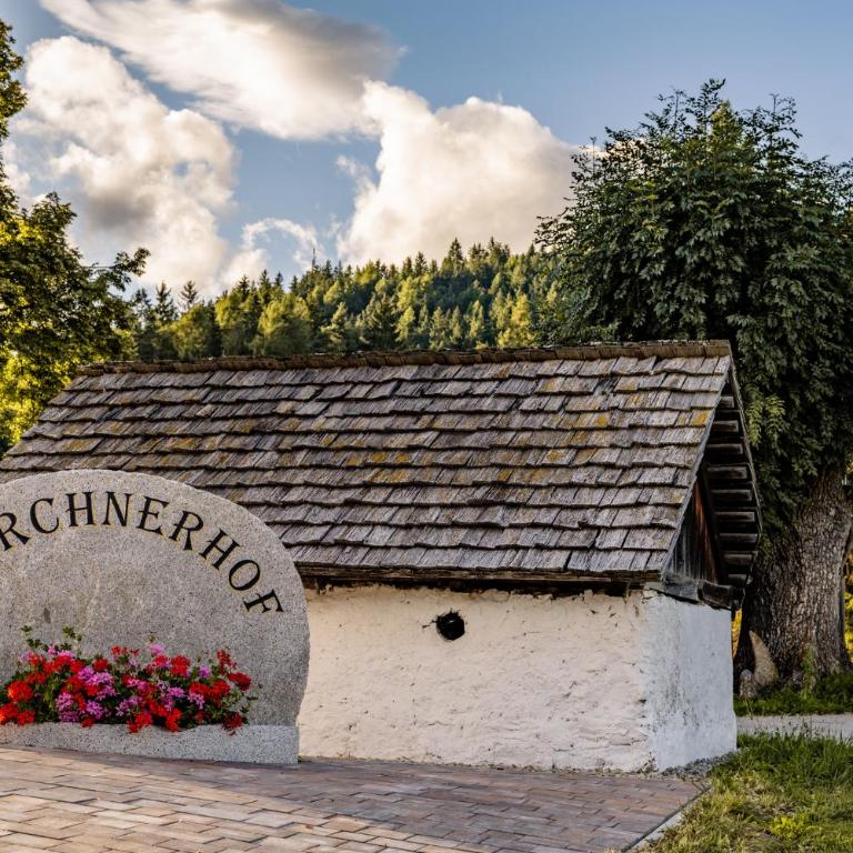 Forchnerhof Nature & Mountain View Apartments - Appartamento con 2 Camere da Letto e con Vista Montagna - 3