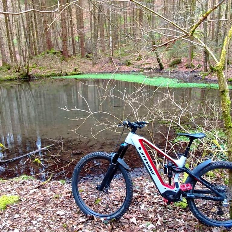 Ferienwohnung Hecht - Biketrail Fun & Relaxing - Apartment mit 1 Schlafzimmer - 24