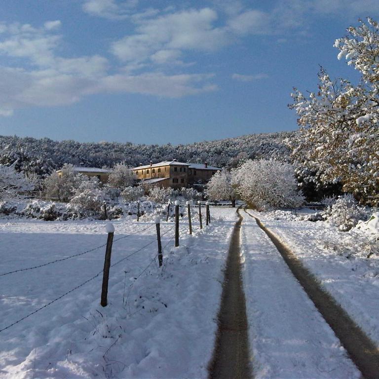 La Locaia - Casa Vacanze - 6