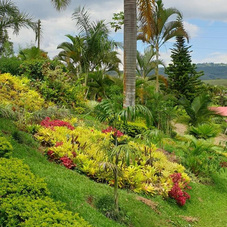El Rincón De La Abuela Paisaje y Confort - Casa de 3 dormitorios - 10
