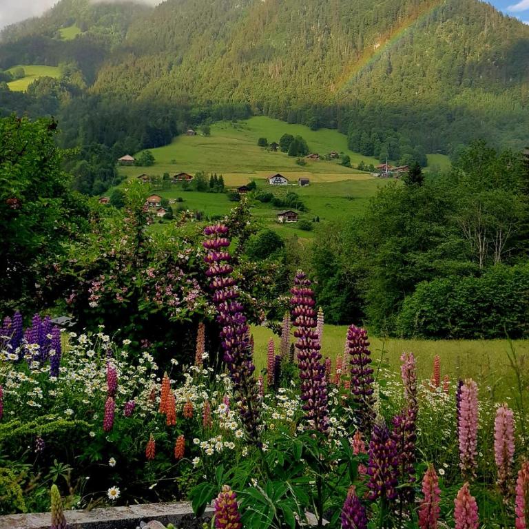 Chalet Sterenn, 10 personnes, Grand Bornand et La Clusaz - Chalet - 31