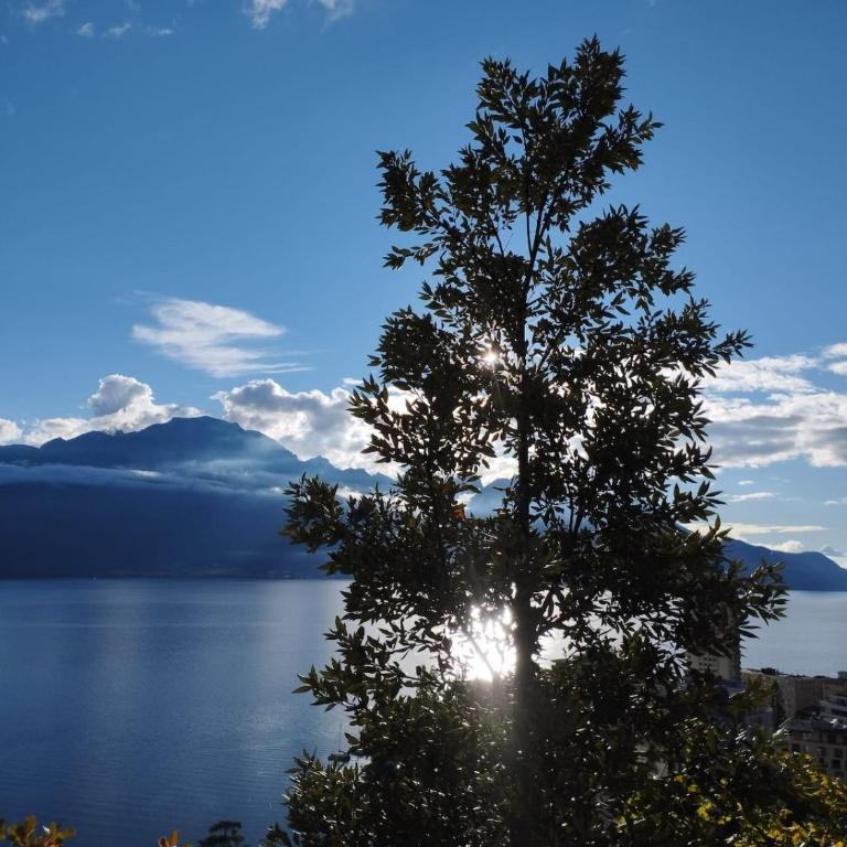Inspiration room, lake, mountains, balcony in Montreux city center - Doppelzimmer mit Seeblick - 34