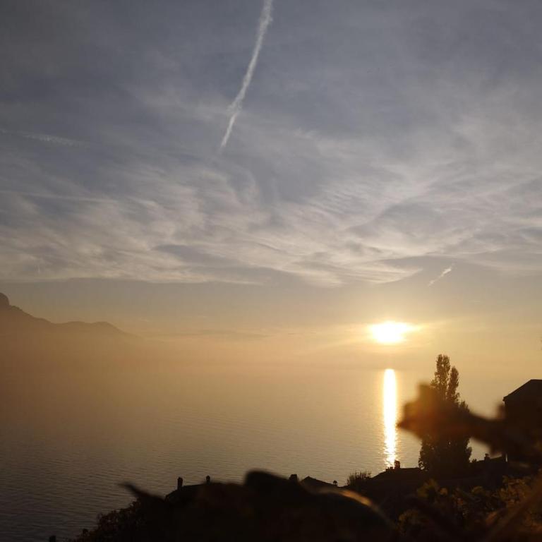 Inspiration room, lake, mountains, balcony in Montreux city center - Doppelzimmer mit Seeblick - 33