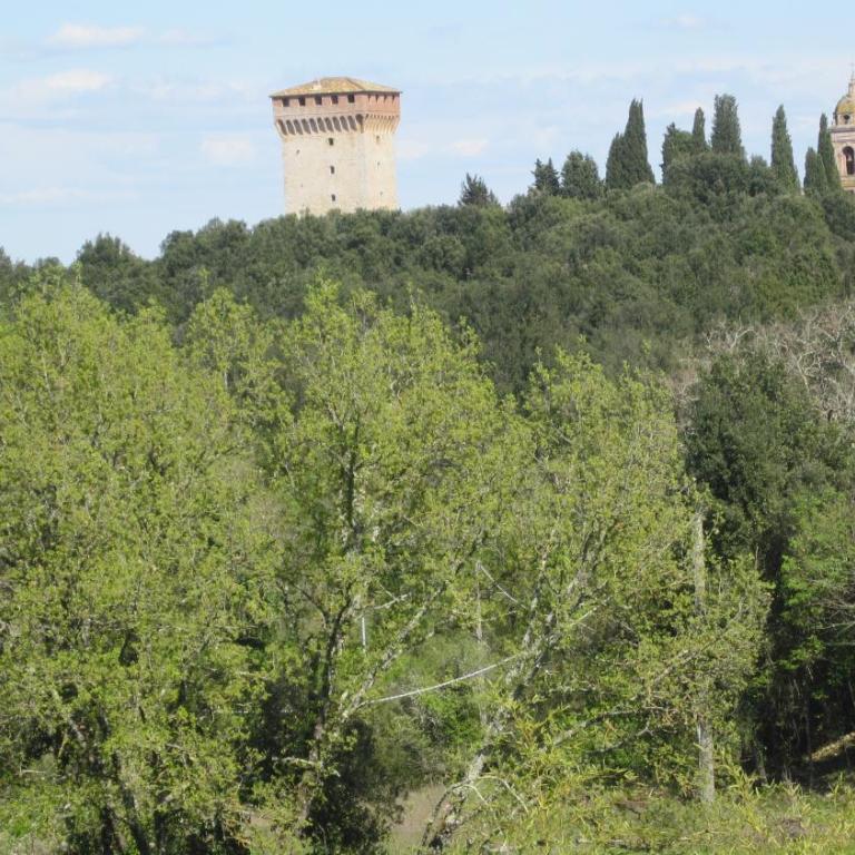 La Locaia - Casa Vacanze - 56