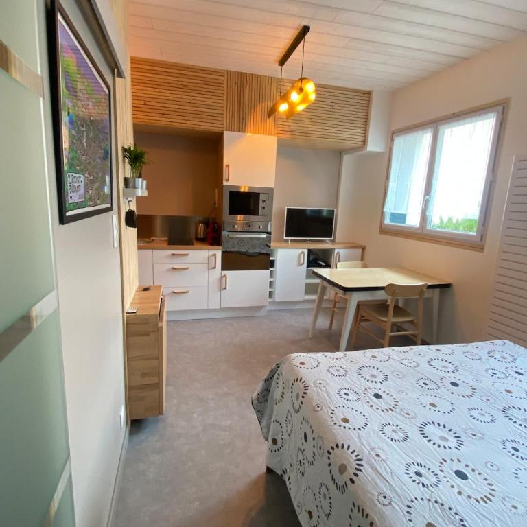 Charmant studio quartier salins 5mn gare routiere - Apartment mit 1 Schlafzimmer - 1