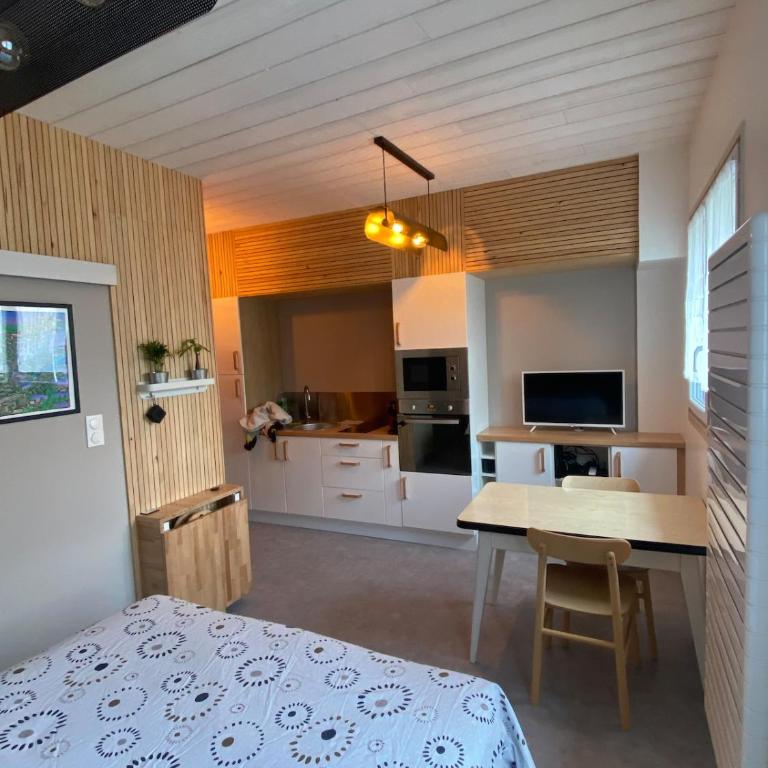 Charmant studio quartier salins 5mn gare routiere - Apartment mit 1 Schlafzimmer - 8