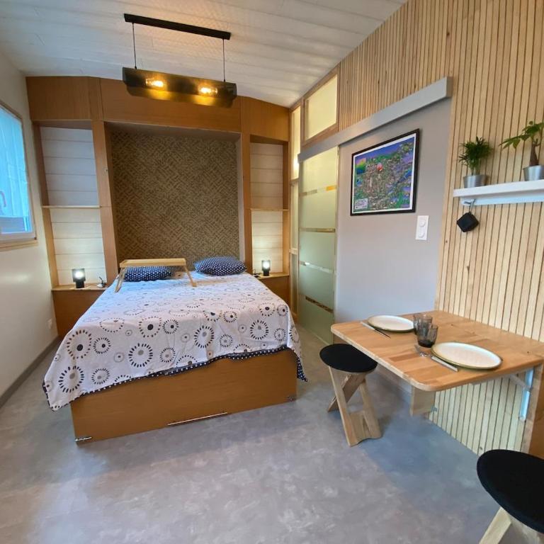 Charmant studio quartier salins 5mn gare routiere - Apartment mit 1 Schlafzimmer - 13