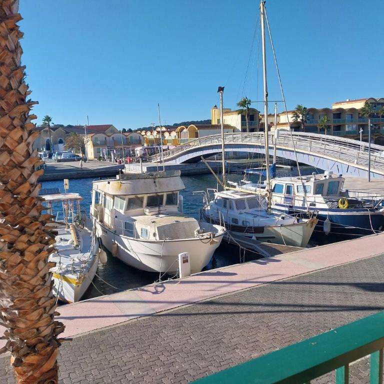 Le Quai401 YourHostHelper - Appartement 1 Chambre avec Terrasse - 6