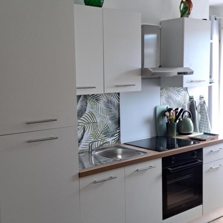 A 50m des cures libre mi septembre joli studio rénové orienté Nord bien ventilé - Appartement 1 Chambre - 1