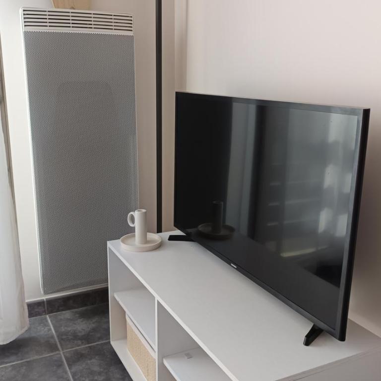 Appartement Lumineux hypercentre - Biscarrosse - Apartamento de 1 dormitorio - 8