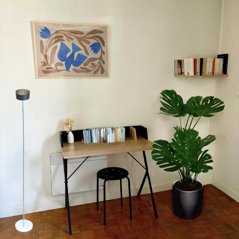 Cocon Avignonnais au Cœur du Centre Historique - Appartamento con 1 Camera da Letto - 5