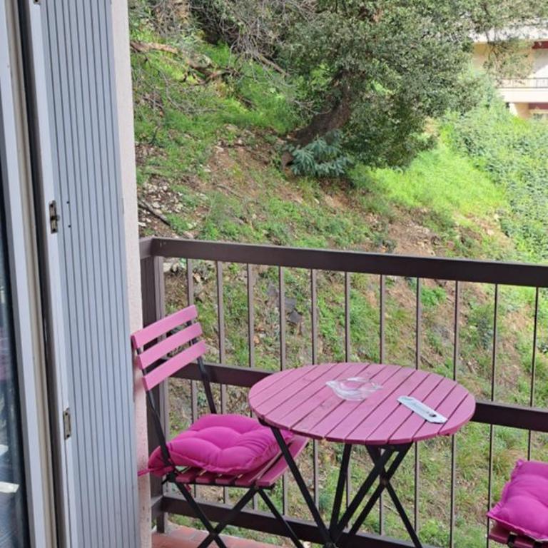 A 50m des cures libre mi septembre joli studio rénové orienté Nord bien ventilé - Appartement 1 Chambre - 2