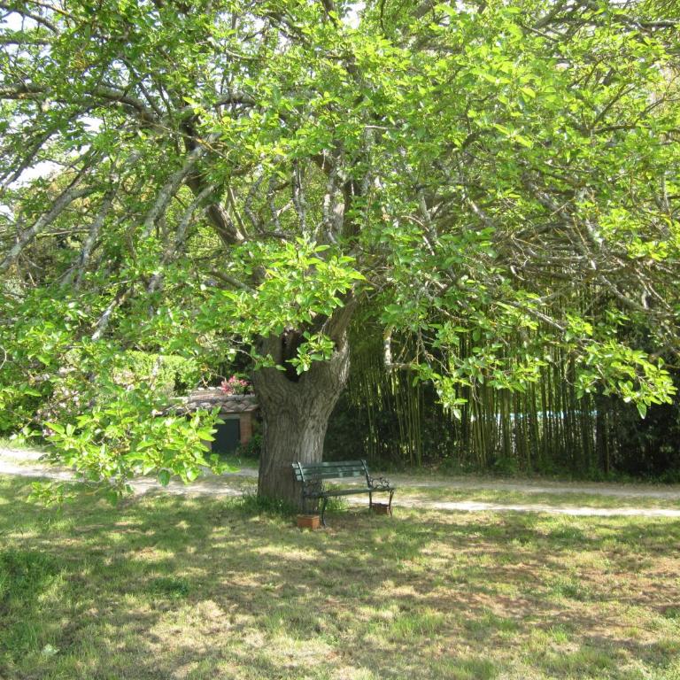 La Locaia - Casa Vacanze - 62
