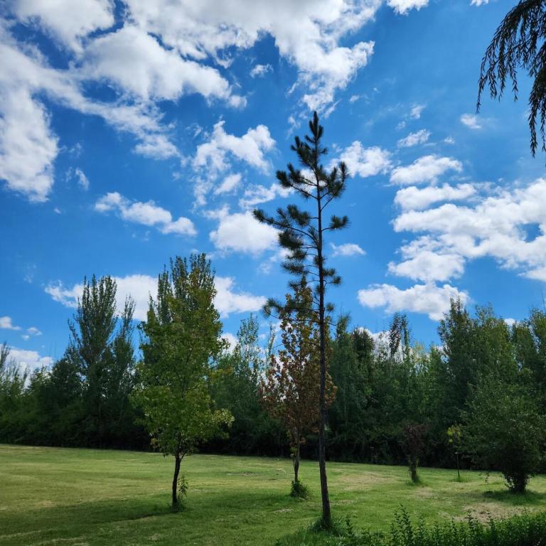 Naturaleza & confort en Tunuyan, Mendoza - Casa de 2 dormitorios - 6