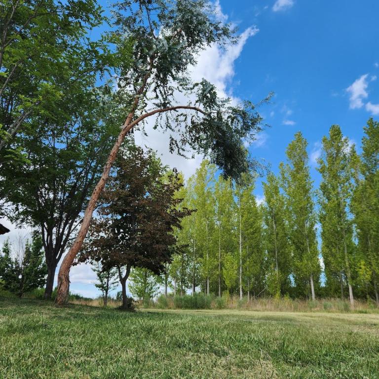Naturaleza & confort en Tunuyan, Mendoza - Casa de 2 dormitorios - 40