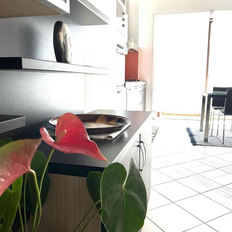 Residence Villa Cristina - Two-Bedroom Apartment - 15