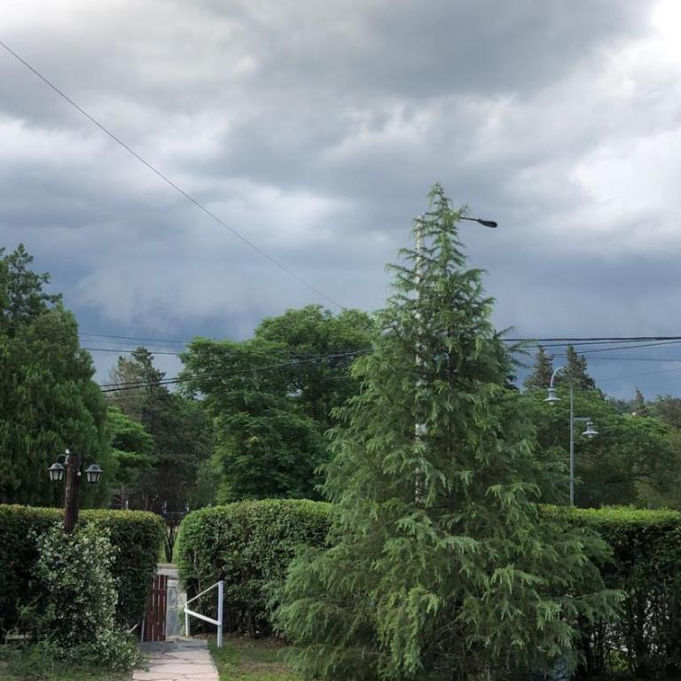 Liquidambar - Two-Bedroom House - 10