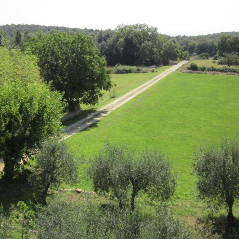 La Locaia - Casa Vacanze - 68