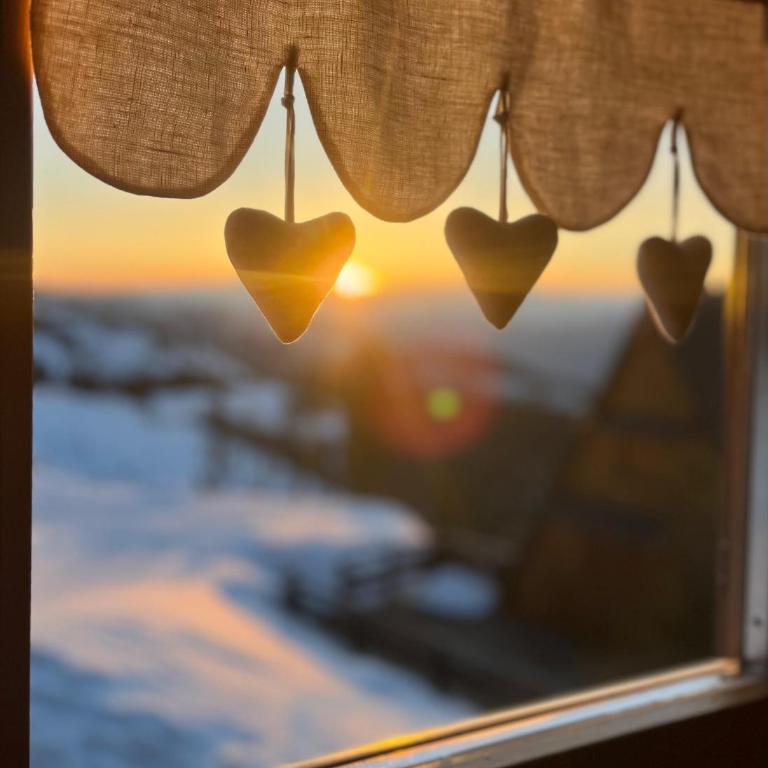 Chalet Biancaneve - Alpe Cermis Cavalese - Chalet - 20