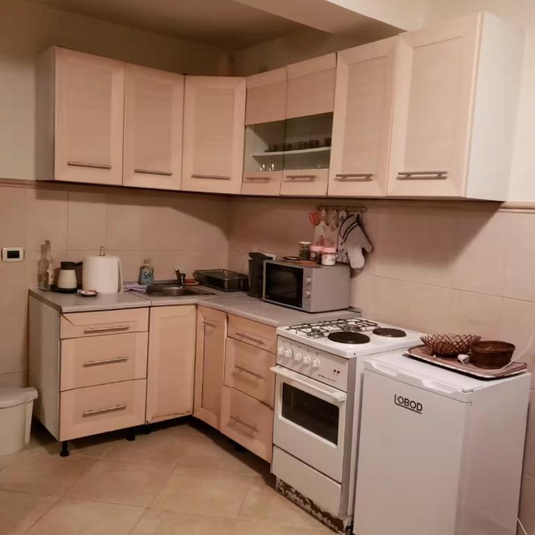 Gala Apartments In The Heart Of Žabljak - Apartman sa 2 Spavaće Sobe - 7