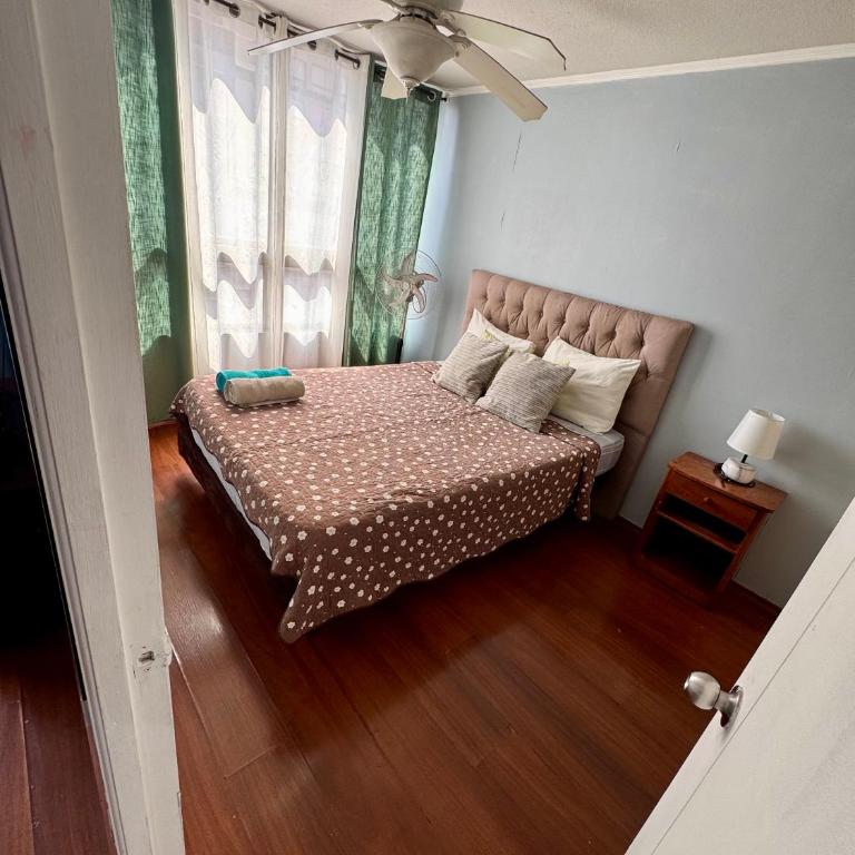 Apartamento Orquidea - One-Bedroom Apartment - 20