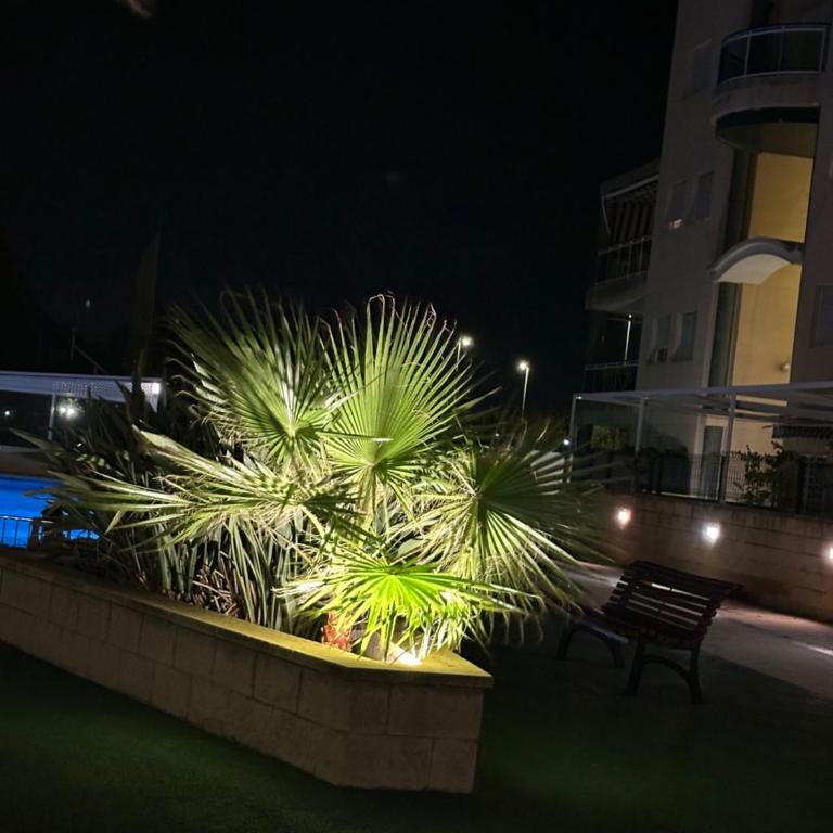 Apartamento NARANJA GANDIA GRAU - Apartamento de 3 dormitorios con balcón - 58