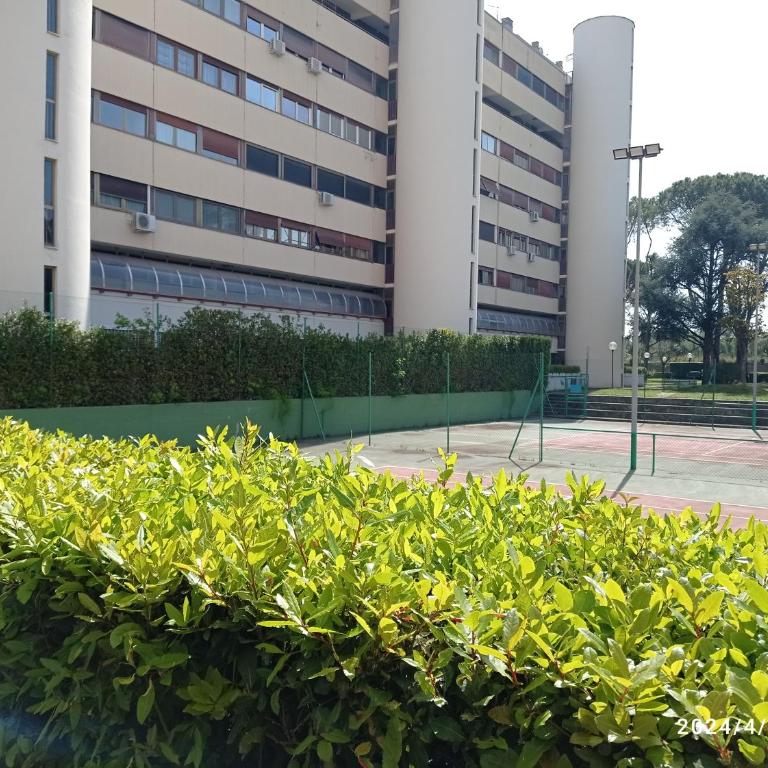 Alloggio per uso Turistico Falcocchio Massimo - Apartment mit 1 Schlafzimmer - 47