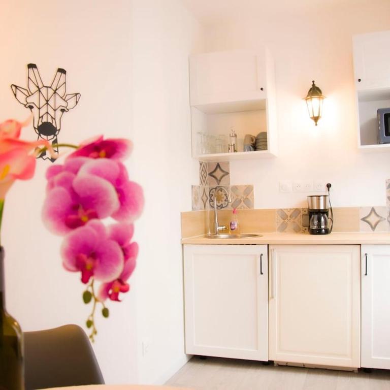 Studio Rose - One-Bedroom Apartment - 2