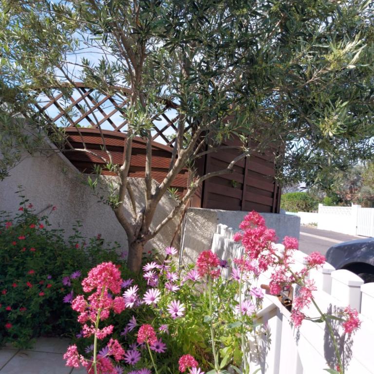maison pour vacance a la mer climatise - Maison 2 Chambres - 16