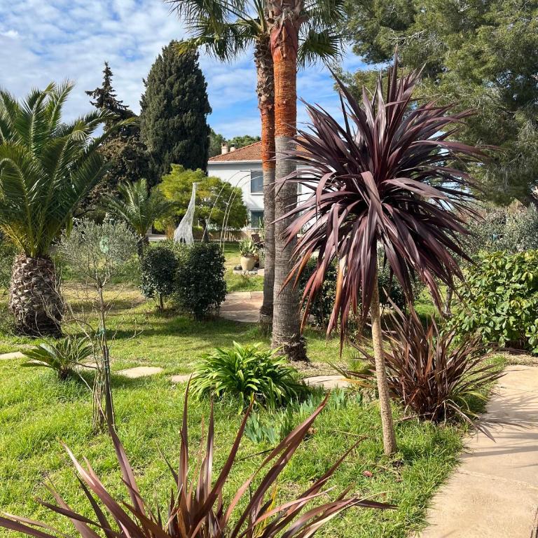 Le poisson qui recule - Maison et piscine dans parc arboré proche mer - Casa con 2 Camere da Letto - 7