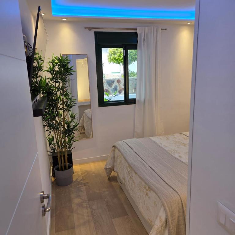 Luxury Alondras E108 - Apartamento de 2 dormitorios - 10