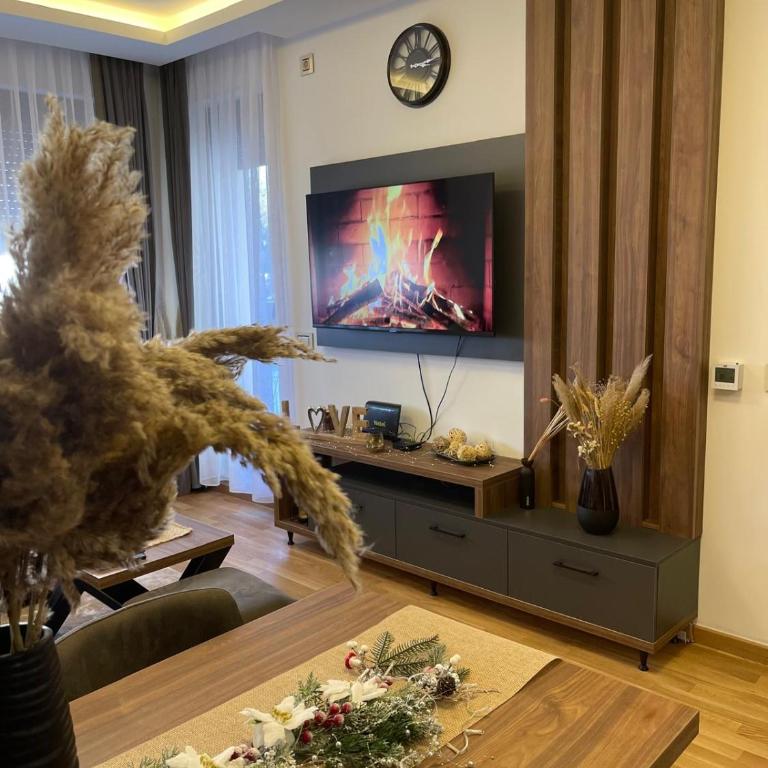 Lux Apartman Pavlovic - Apartman sa 1 Spavaćom Sobom - 2