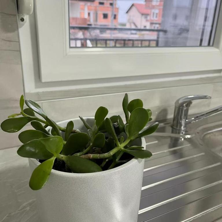 Appartement 2 chambres et 1 salon près de l'aéroport de Belgrade - Apartman sa 2 Spavaće Sobe - 11