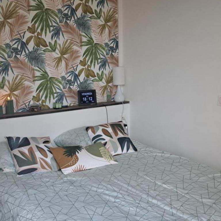 A 50m des cures libre mi septembre joli studio rénové orienté Nord bien ventilé - Appartement 1 Chambre - 6