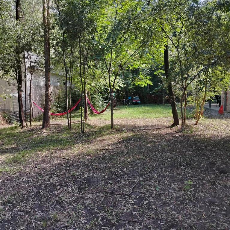 Hermosa Casa en El Ensueño Santa Ana Colonia - Two-Bedroom House - 12