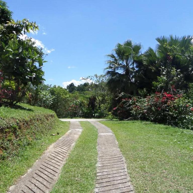 FINCA ARCANOS CELESTe - Casa de 3 dormitorios - 14