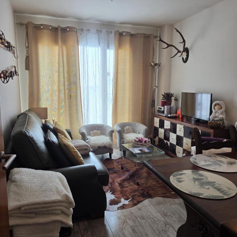 Apartamento Edificio Serraneu. Sierra Nevada. Granada - Apartamento Deluxe - 16