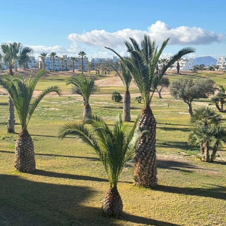 Casa Helen Las Terrazas de la Torre - Blue Sky Property - Two-Bedroom Apartment - 16