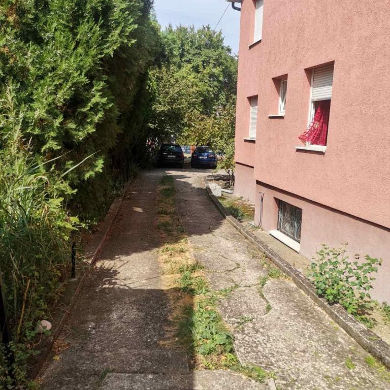Apartmani Trifunović 2 - Apartman sa 1 Spavaćom Sobom - 14