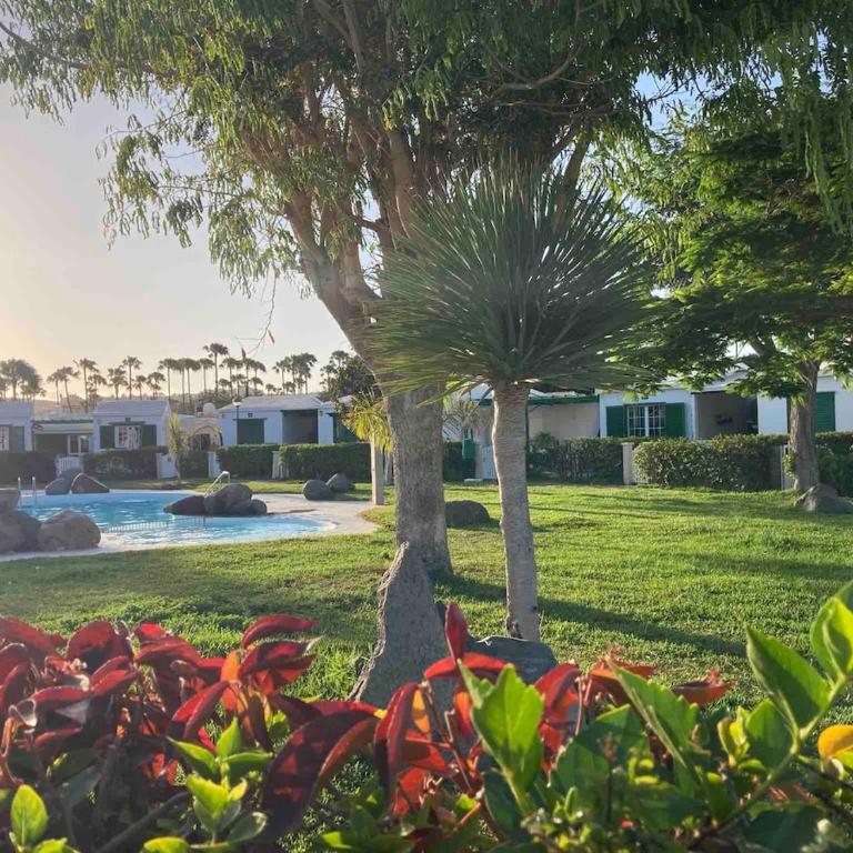 Five Suites Maspalomas by CanaryScape - Five-Bedroom House - 29