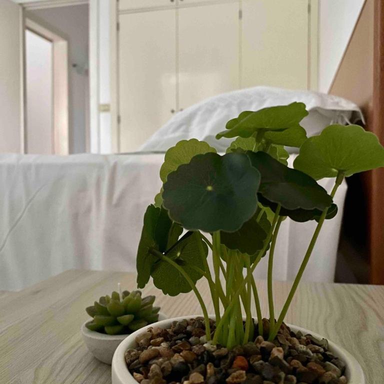 Villetta Dolce Vita - Casa con 2 Camere da Letto - 5