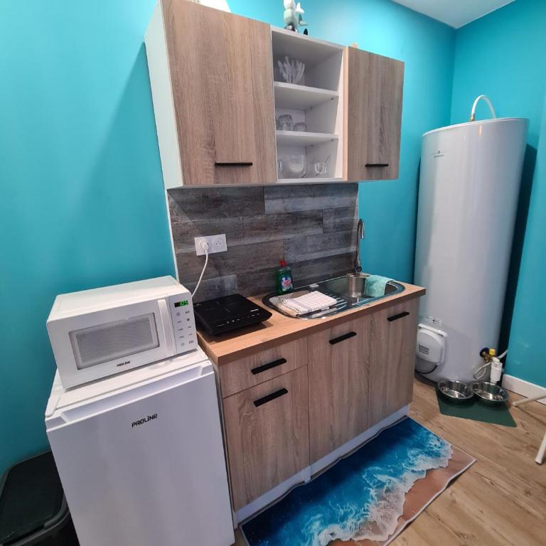 Jacuzzi Privé - L'Île Turquoise - Hypercentre - Appartement 1 Chambre avec Baignoire Spa - 17