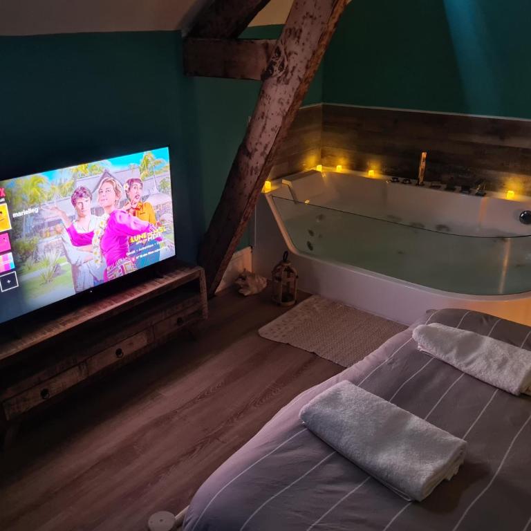 Jacuzzi Privé - L'Île Turquoise - Hypercentre - Appartement 1 Chambre avec Baignoire Spa - 3