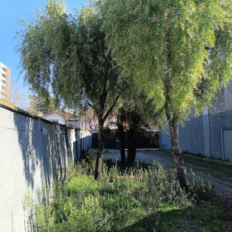 Casa Maitén Chillán - Hermosa Gran Ubicación - Casa de 4 dormitorios - 33