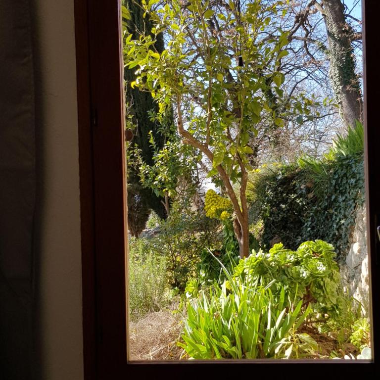Appartement VUE MER an der Côte d'Azur für 2-3 Personen mit Gartenanteil - Appartement 1 Chambre - Vue sur Mer - 17