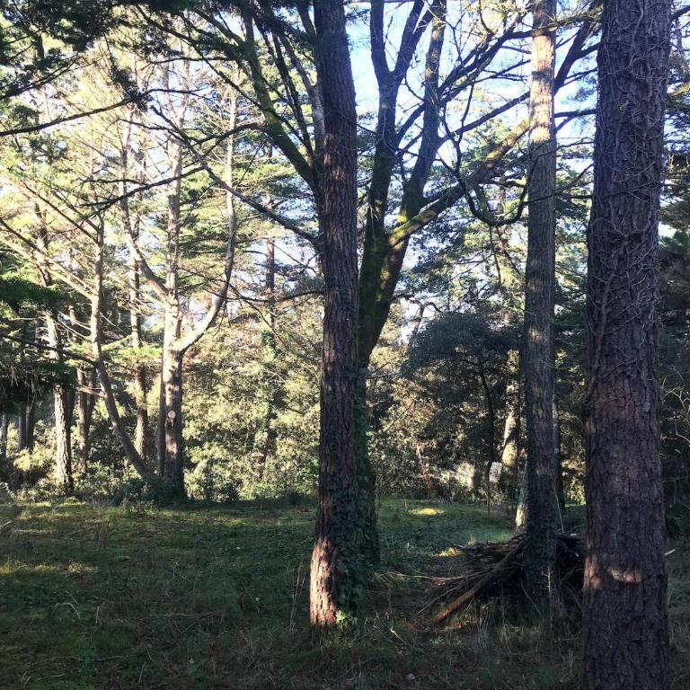 La Cachette d Oona, Grand gîte nature et familles - Casa de 7 dormitorios - 45