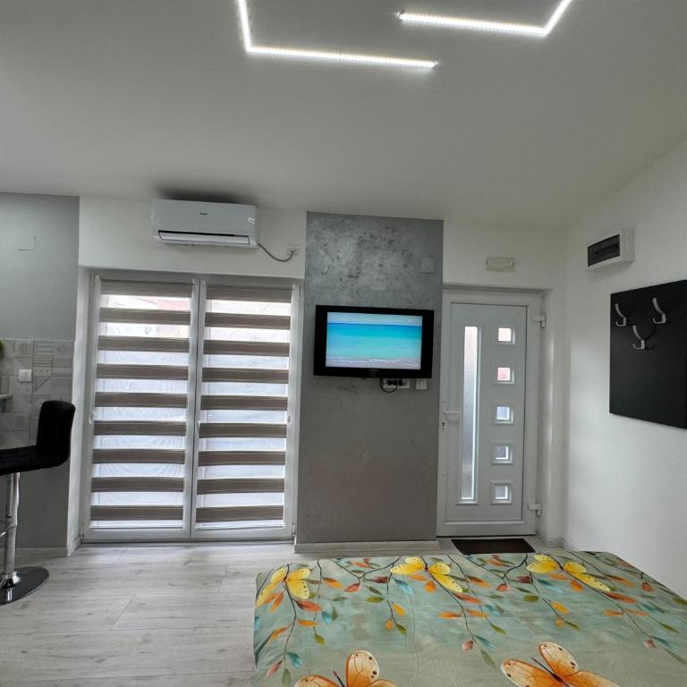 Mitić Apartman's 1 - Deluks Studio - 26